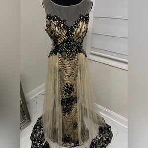 Elegant Laced Dress!